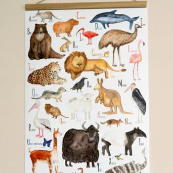 ABC Poster mit Tieren von Hartendief