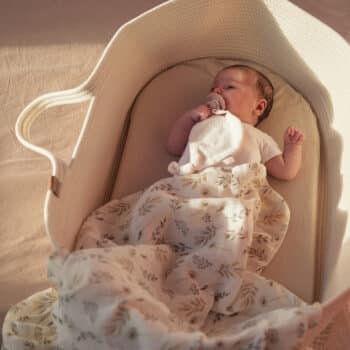 Jollein Baby Moseskorb aus Baumwolle mit Matratze