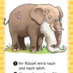 Moses Das Quiz der Tiere – Bild 3