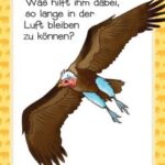 Moses Das Quiz der Tiere – Bild 4