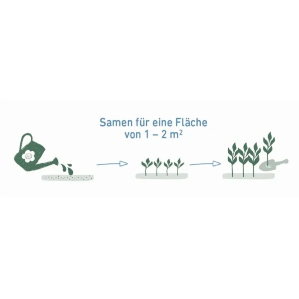 Moses Blatt & Blüte Bienenbar - Saatmischung für Naturliebhaber – Bild 2