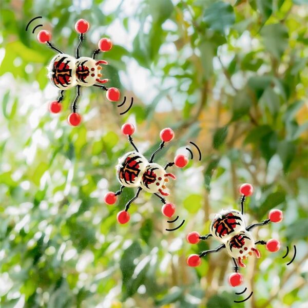 Trendhaus Zoo Fensterläufer Spinne – Bild 2