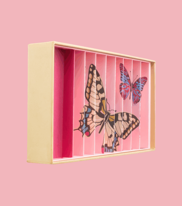 Billes & Co. Murmeln Box - Schmetterling Anamorphic – Bild 4